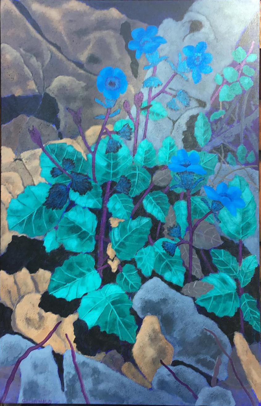 Above, A Hawk  |  42" x 26"